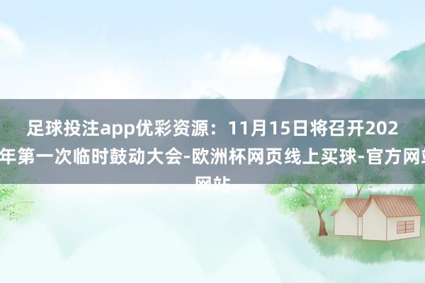 足球投注app优彩资源：11月15日将召开2024年第一次临时鼓动大会-欧洲杯网页线上买球-官方网站