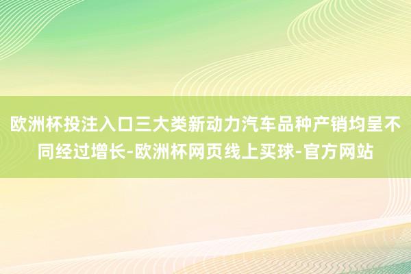 欧洲杯投注入口三大类新动力汽车品种产销均呈不同经过增长-欧洲杯网页线上买球-官方网站