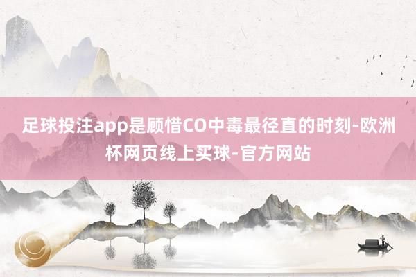 足球投注app是顾惜CO中毒最径直的时刻-欧洲杯网页线上买球-官方网站