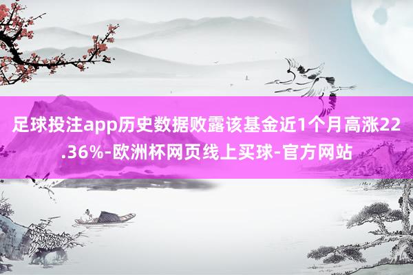 足球投注app历史数据败露该基金近1个月高涨22.36%-欧洲杯网页线上买球-官方网站