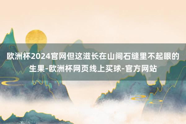 欧洲杯2024官网但这滋长在山间石缝里不起眼的生果-欧洲杯网页线上买球-官方网站