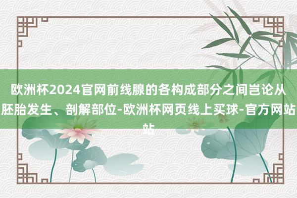 欧洲杯2024官网前线腺的各构成部分之间岂论从胚胎发生、剖解部位-欧洲杯网页线上买球-官方网站