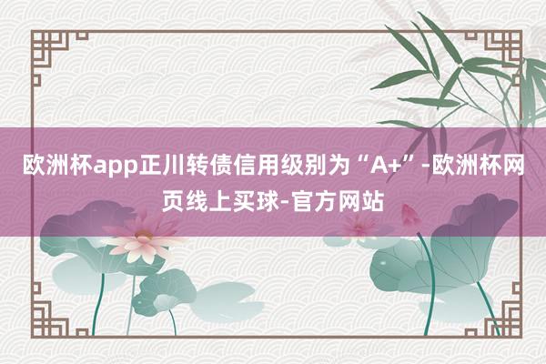 欧洲杯app正川转债信用级别为“A+”-欧洲杯网页线上买球-官方网站