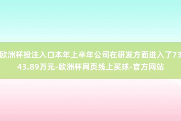 欧洲杯投注入口本年上半年公司在研发方面进入了7343.89万元-欧洲杯网页线上买球-官方网站