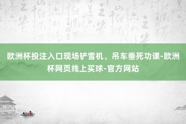 欧洲杯投注入口现场铲雪机、吊车垂死功课-欧洲杯网页线上买球-官方网站