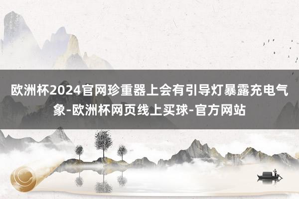 欧洲杯2024官网珍重器上会有引导灯暴露充电气象-欧洲杯网页线上买球-官方网站