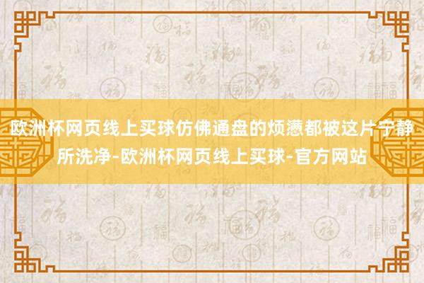 欧洲杯网页线上买球仿佛通盘的烦懑都被这片宁静所洗净-欧洲杯网页线上买球-官方网站