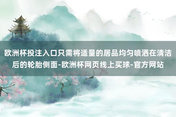 欧洲杯投注入口只需将适量的居品均匀喷洒在清洁后的轮胎侧面-欧洲杯网页线上买球-官方网站