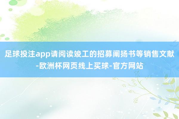 足球投注app请阅读竣工的招募阐扬书等销售文献-欧洲杯网页线上买球-官方网站