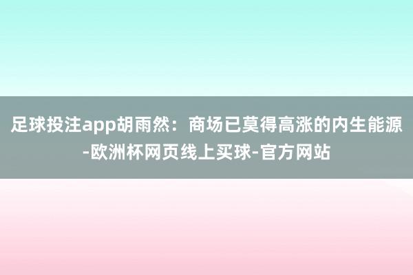 足球投注app胡雨然：商场已莫得高涨的内生能源-欧洲杯网页线上买球-官方网站