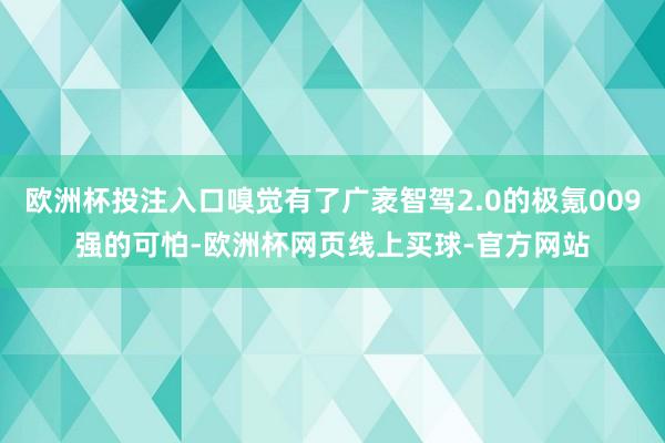 欧洲杯投注入口嗅觉有了广袤智驾2.0的极氪009强的可怕-欧洲杯网页线上买球-官方网站