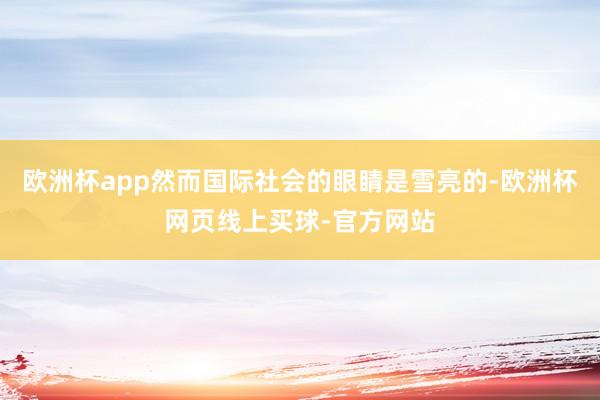 欧洲杯app然而国际社会的眼睛是雪亮的-欧洲杯网页线上买球-官方网站