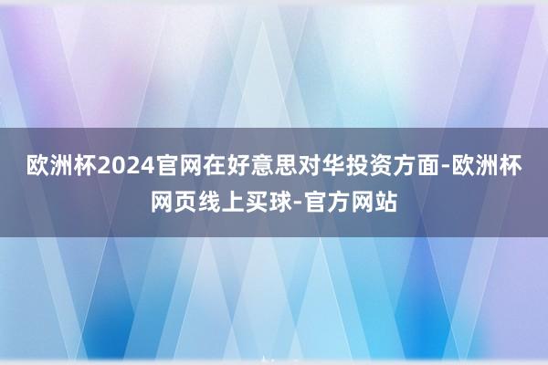 欧洲杯2024官网在好意思对华投资方面-欧洲杯网页线上买球-官方网站